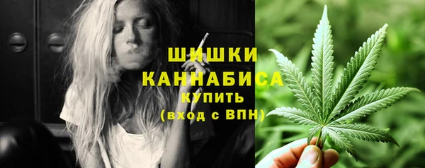 прущий лед Верея