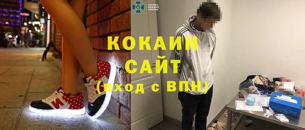 шишки Строитель