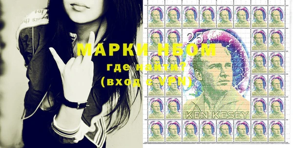 прущий лед Верея